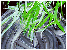 うなぎイメージ